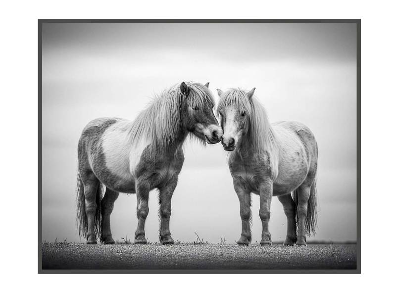 Studio B Originals Limited Edition Giclée Canvas Art - TOGETHER