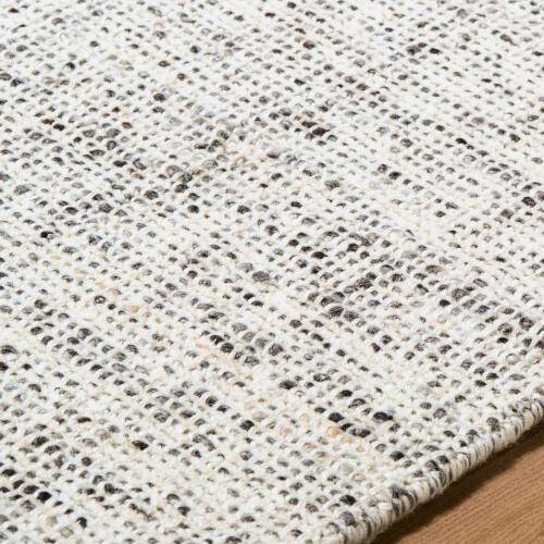 Surya Toronto Handmade Rug - TTN-2304-CStd