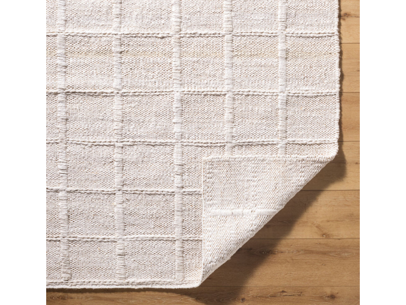 Surya 2' x 3' Damon Handmade Rug - DAM-2300-23