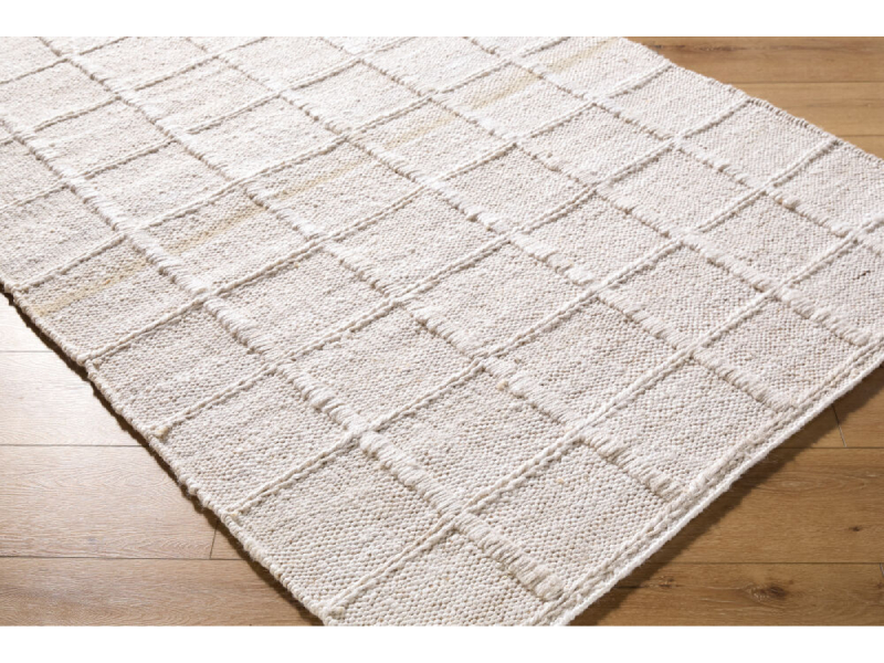 Surya 2' x 3' Damon Handmade Rug - DAM-2300-23