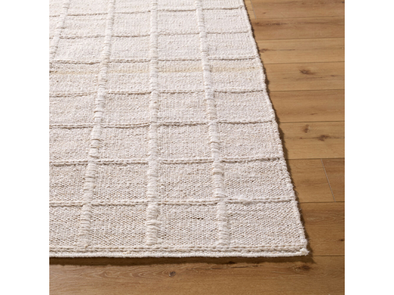 Surya 8' x 10' Damon Handmade Rug - DAM-2300-810
