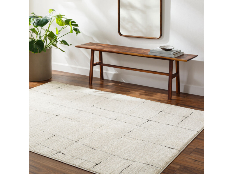 Surya 2'7" x 7'3" RUNNER Freud Machine Woven Rug - FEU-2300-2773