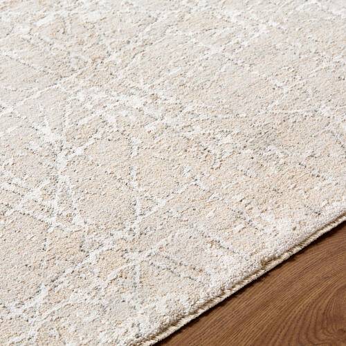 Surya 2' x 2'11" Nathan Machine Woven Rug - NTH-2300-2-2-11