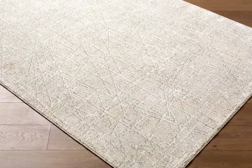 Surya 10' x 13'11" Nathan Machine Woven Rug - NTH-2300-10-13-11