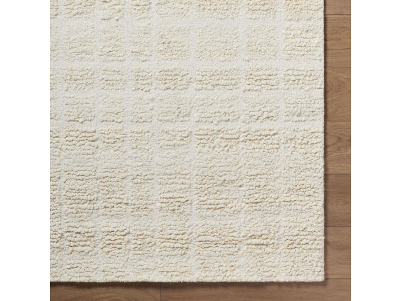 Surya 2' x 3' Divine Handmade Rug - DVN-2305-23