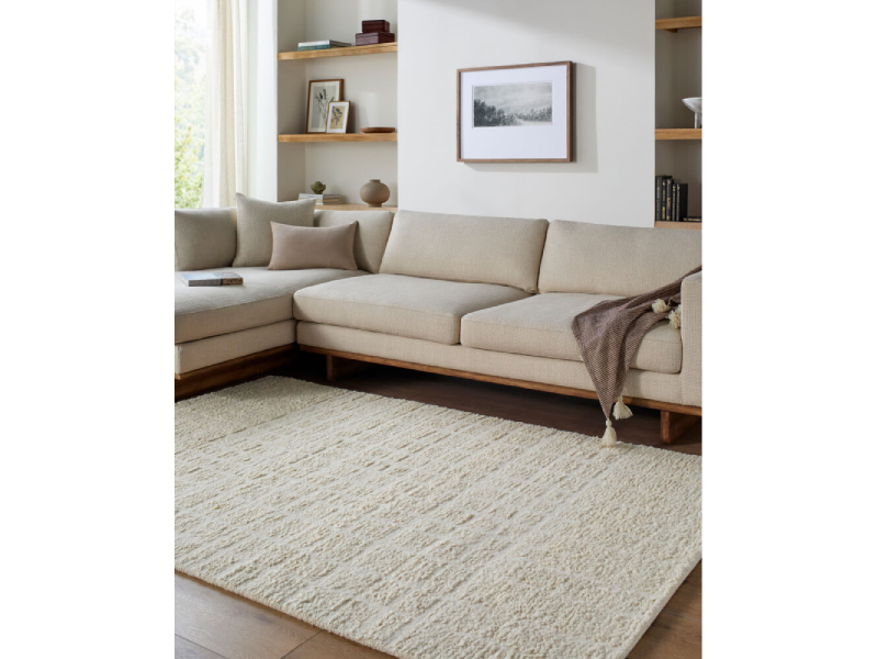 Surya 9' x 12' Divine Handmade Rug - DVN-2305-912