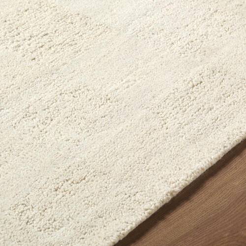 Surya Divine Handmade Rug - DVN-2307-CStd