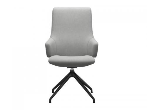 Dinamica-Grey
