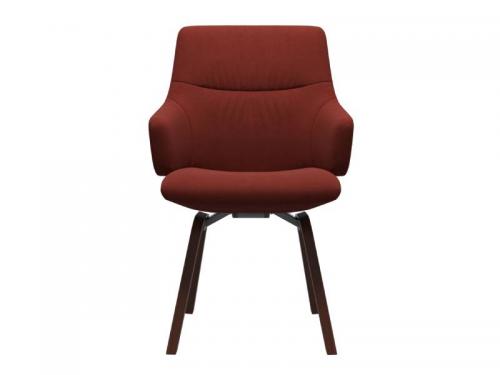 Dinamica-Red