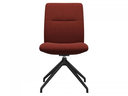 Dinamica-Red