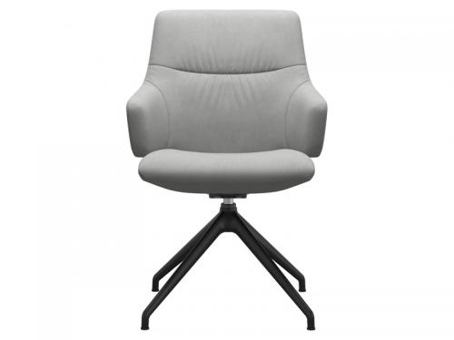 Dinamica-Grey