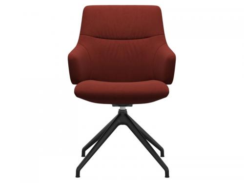 Dinamica-Red