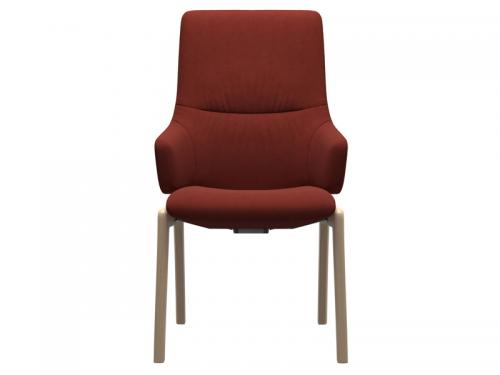 Dinamica-Red