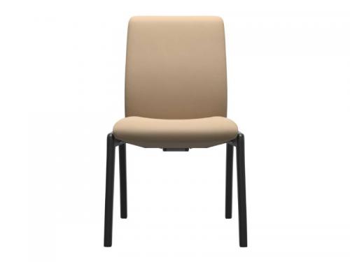 Paloma-Beige