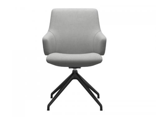 Dinamica-Grey