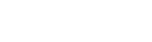 Bermex Logo